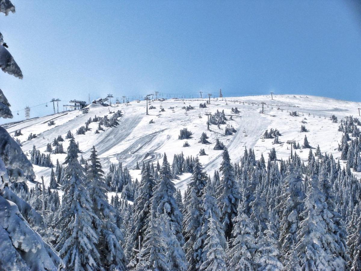 Premia Apartments Konaci Kopaonik Eksteriør bilde